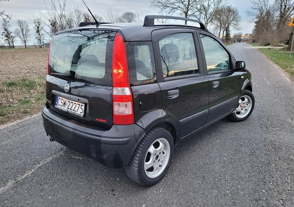 Fiat Panda cena 7900 przebieg: 158000, rok produkcji 2004 z Chełmno małe 352